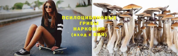 PSILOCYBIN Белокуриха