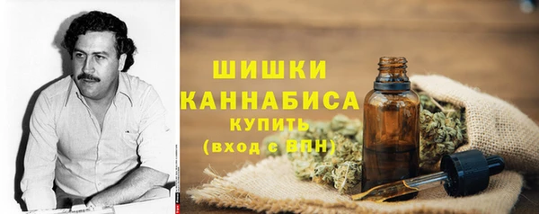 ПСИЛОЦИБИНОВЫЕ ГРИБЫ Белоозёрский