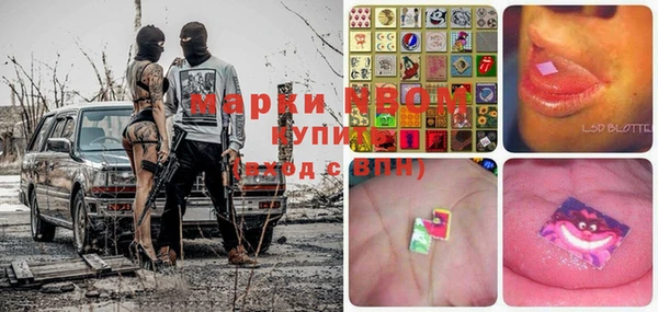 PSILOCYBIN Белокуриха