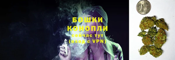 ПСИЛОЦИБИНОВЫЕ ГРИБЫ Белоозёрский