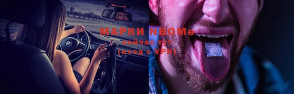 PSILOCYBIN Белокуриха