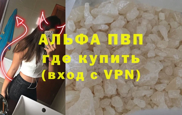 ПСИЛОЦИБИНОВЫЕ ГРИБЫ Белоозёрский