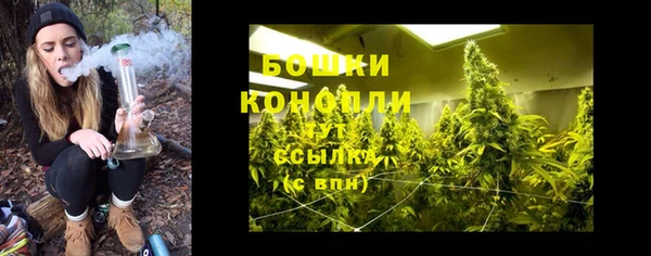 PSILOCYBIN Белокуриха