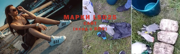 PSILOCYBIN Белокуриха