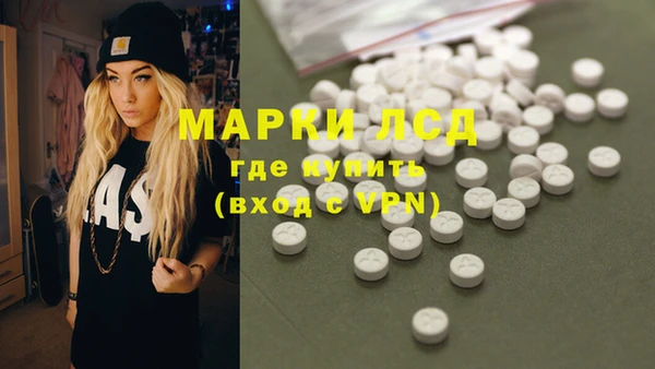 ПСИЛОЦИБИНОВЫЕ ГРИБЫ Белоозёрский