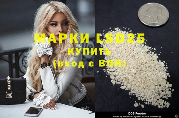 PSILOCYBIN Белокуриха