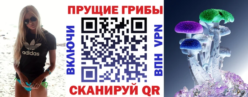 Галлюциногенные грибы Psilocybine cubensis  гидра ONION  Высоцк  цены  