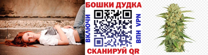 купить наркоту  Высоцк  Бошки Шишки MAZAR 